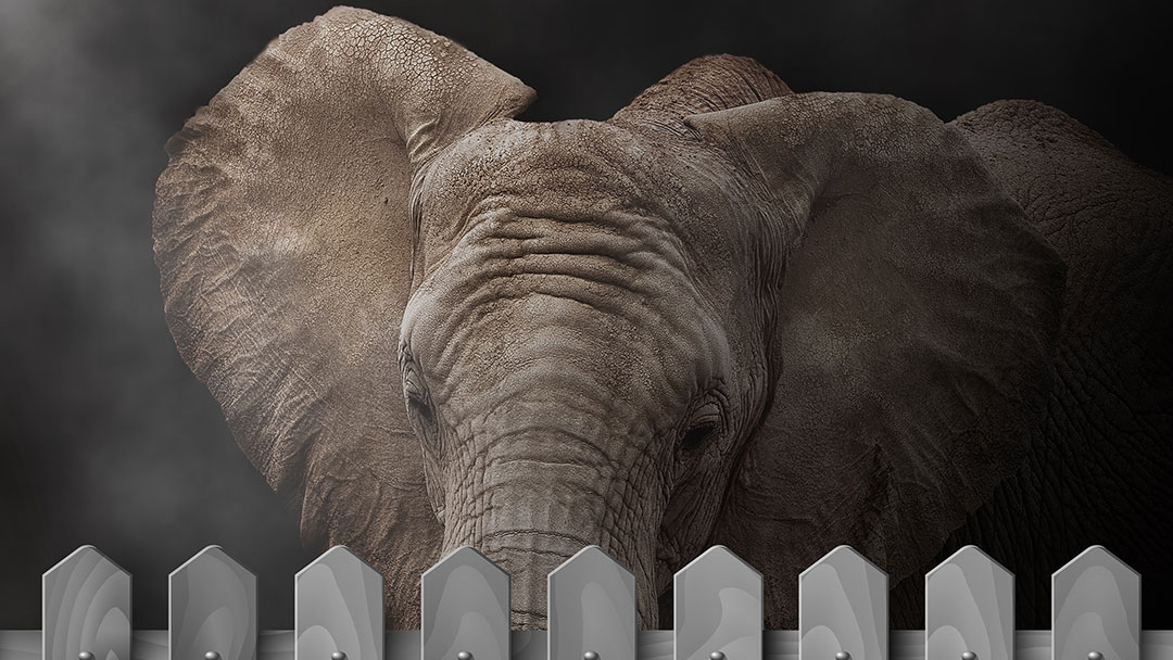 Responsive image