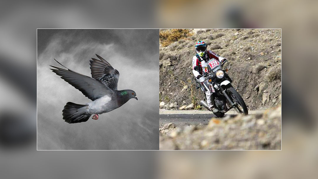 Responsive image